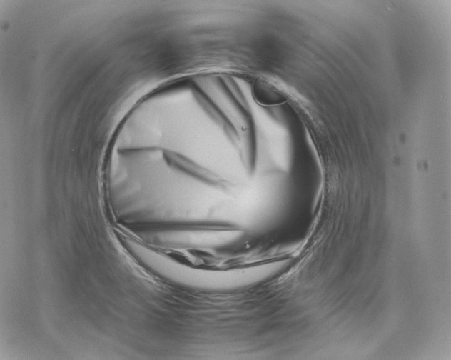 X0000075361423200609291449