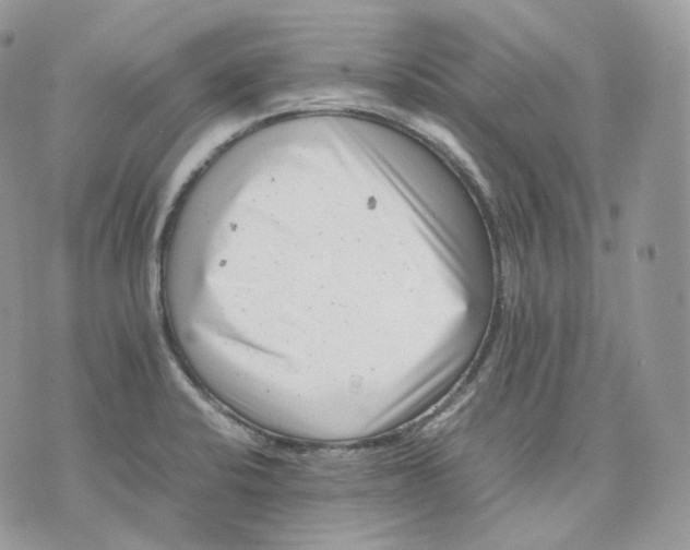 X0000075361424200609291450