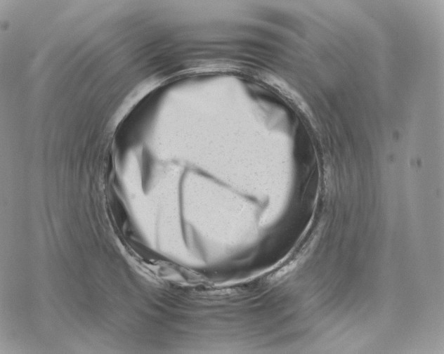 X0000075361425200609291450