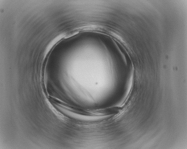 X0000075361426200609291450