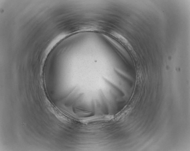 X0000075361427200609291450