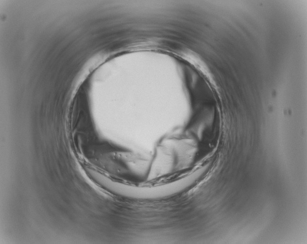 X0000075361429200609291450