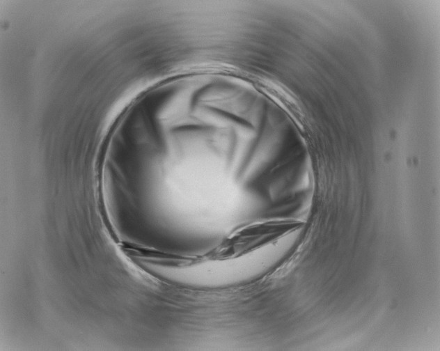 X0000075361430200609291450