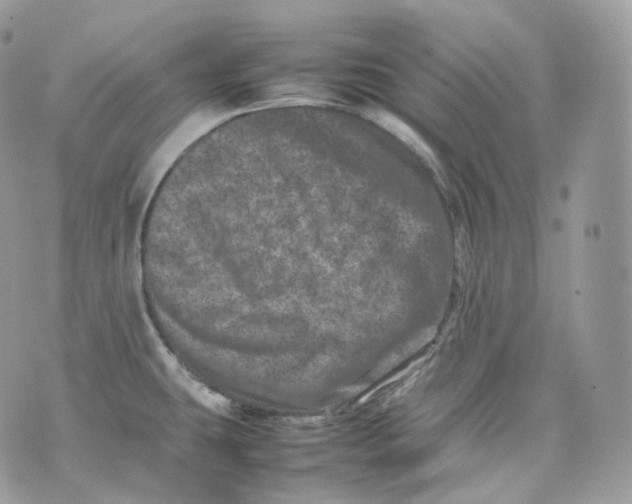 X0000075361431200609291450