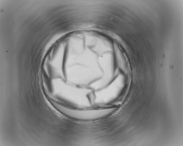 X0000075361432200609291450