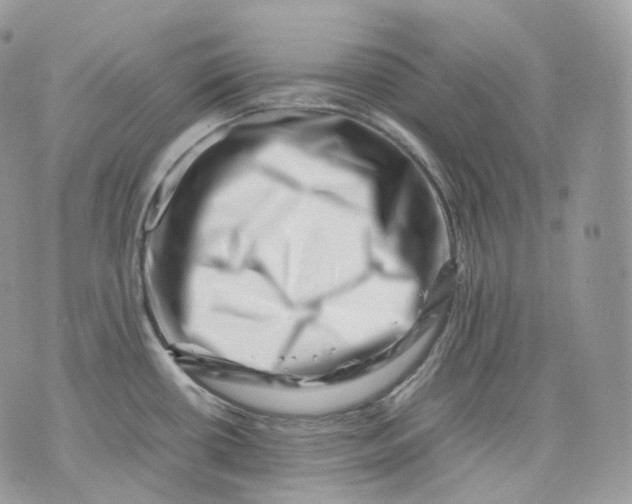 X0000075361434200609291450