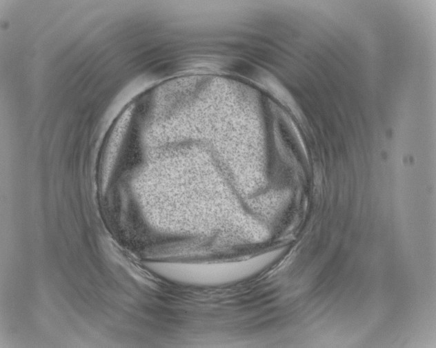 X0000075361435200609291450