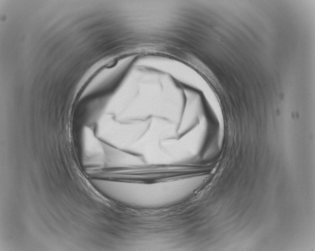 X0000075361436200609291450