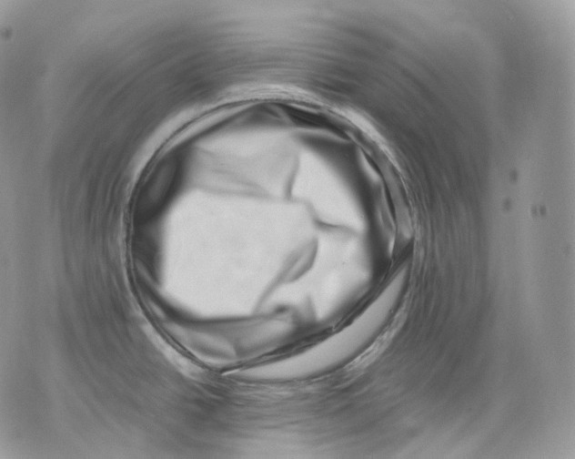 X0000075361438200609291450