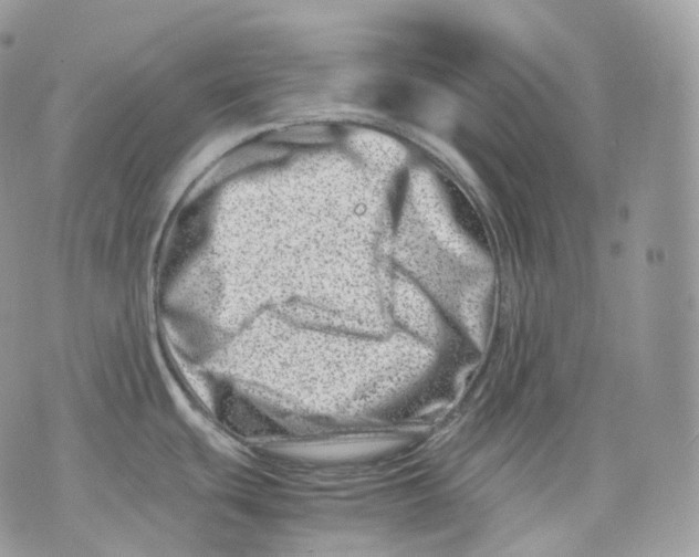 X0000075361439200609291450