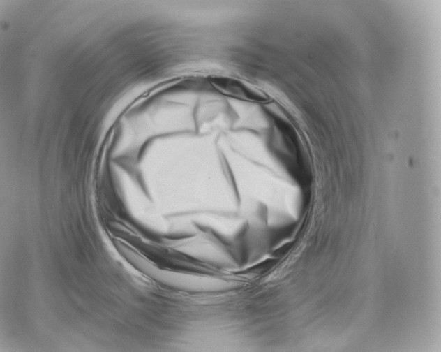 X0000075361440200609291450