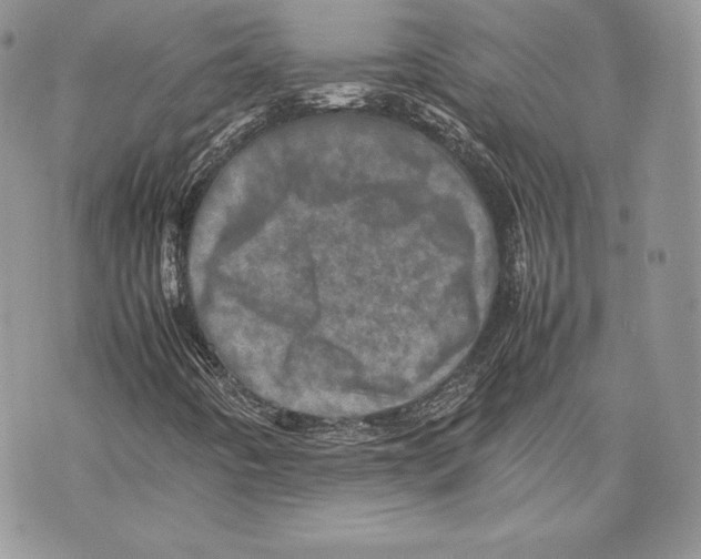 X0000075361442200609291449