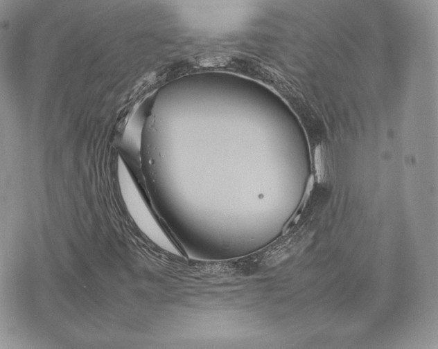 X0000075361443200609291449