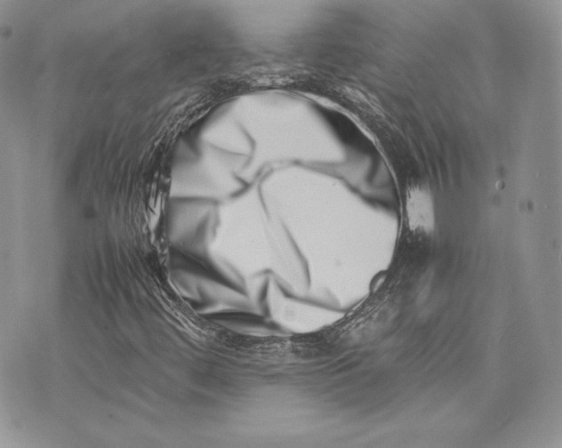 X0000075361444200609291449