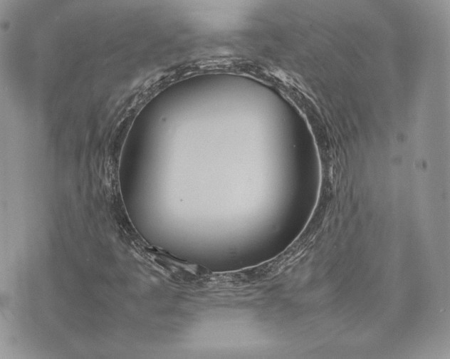 X0000075361445200609291449