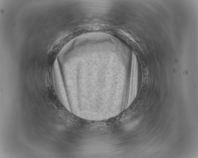 X0000075361446200609291449