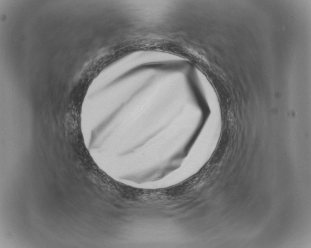 X0000075361447200609291449