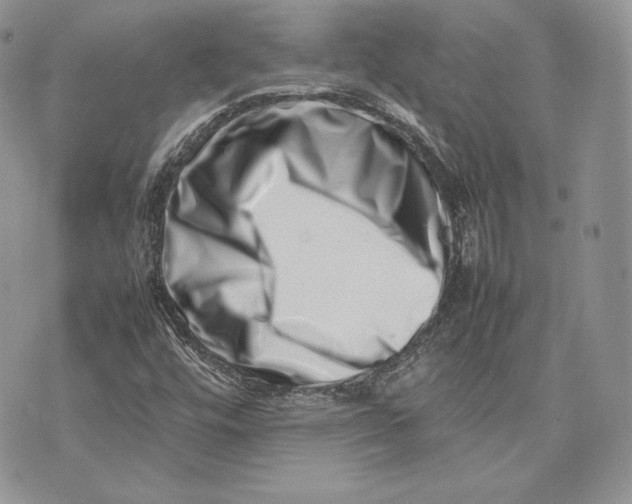 X0000075361448200609291449