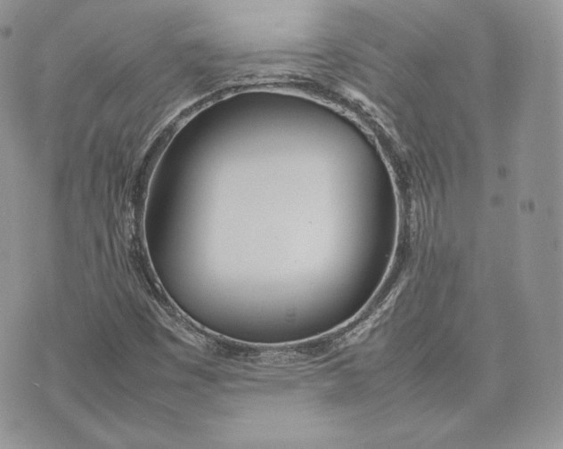 X0000075361449200609291449