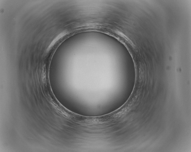 X0000075361450200609291449