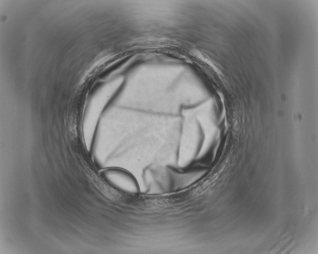 X0000075361451200609291449