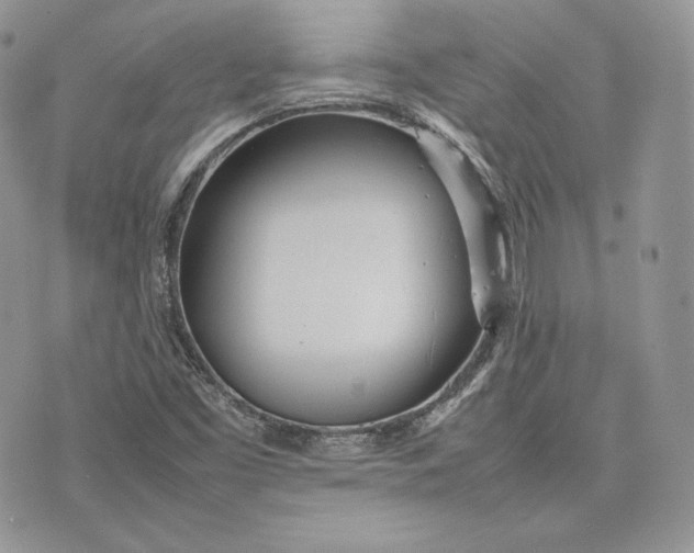 X0000075361453200609291449