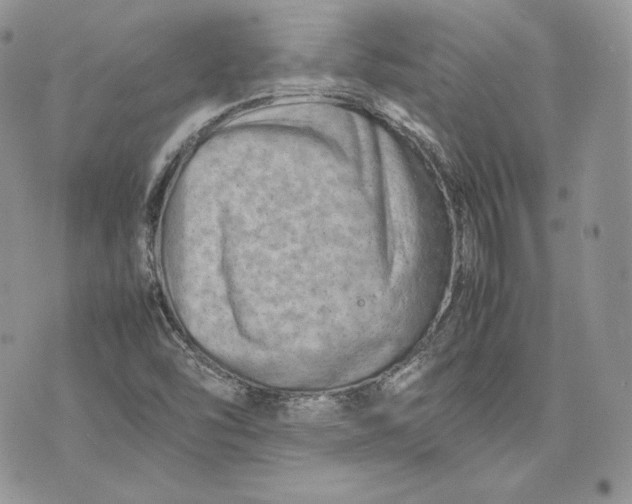 X0000075361454200609291449