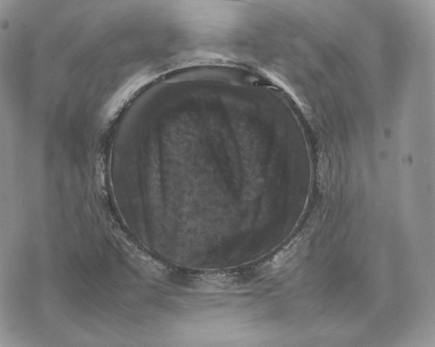 X0000075361455200609291449