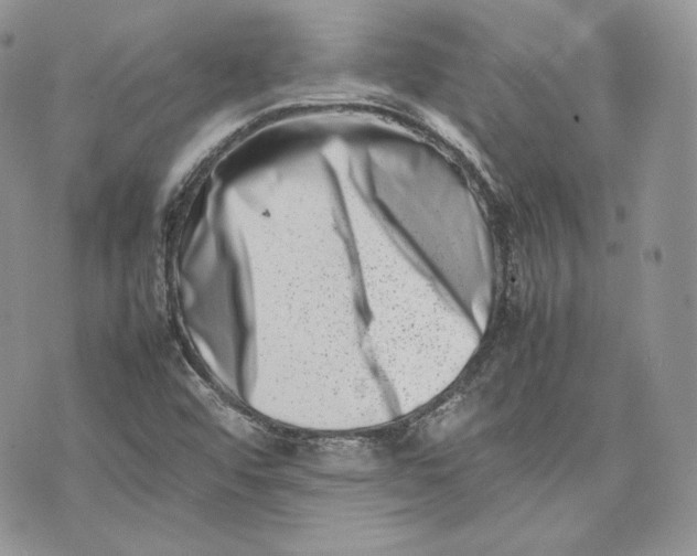 X0000075361456200609291449