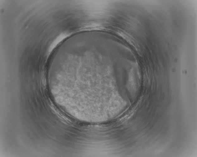 X0000075361458200609291449