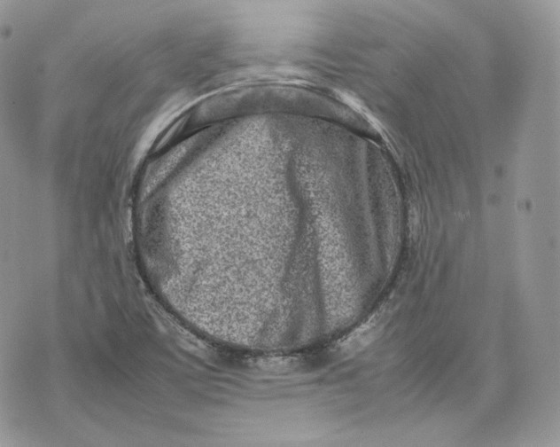 X0000075361459200609291449