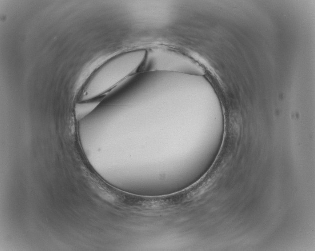 X0000075361461200609291449