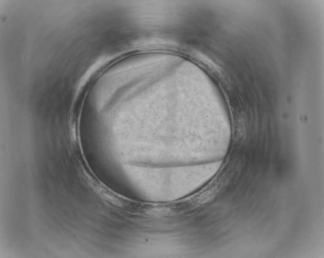 X0000075361462200609291449