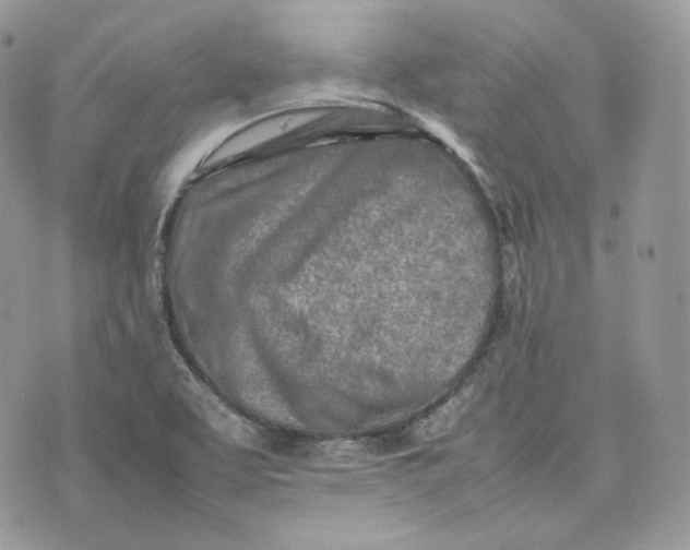 X0000075361463200609291449