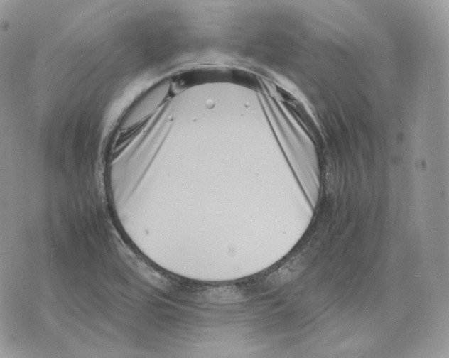 X0000075361464200609291449