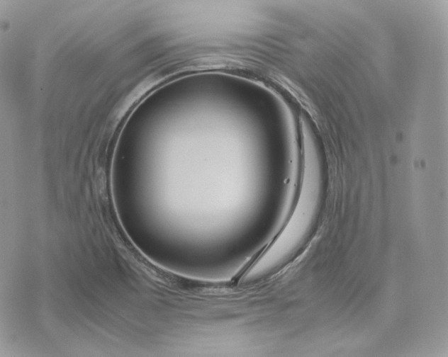 X0000075361465200609291449