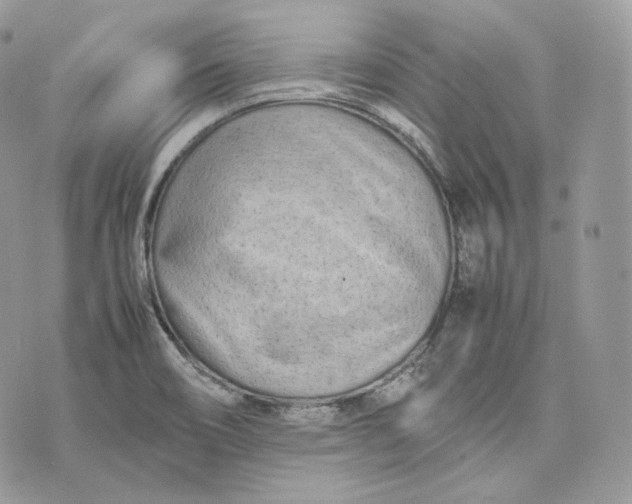 X0000075361466200609291449