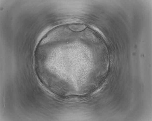 X0000075361467200609291449