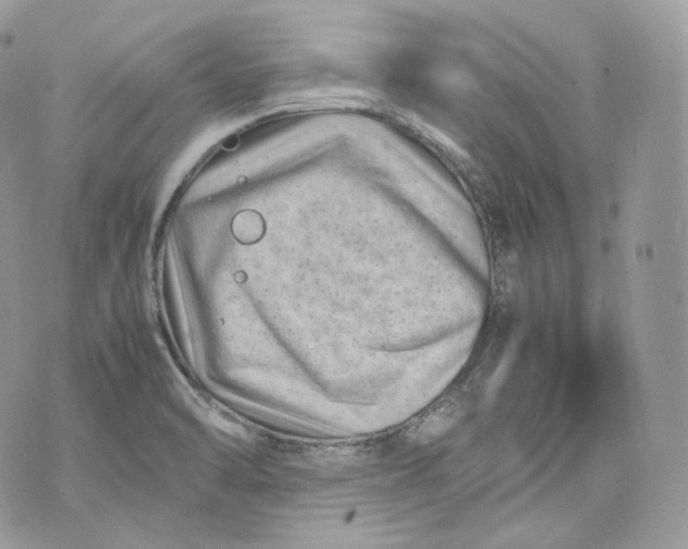 X0000075361470200609291449