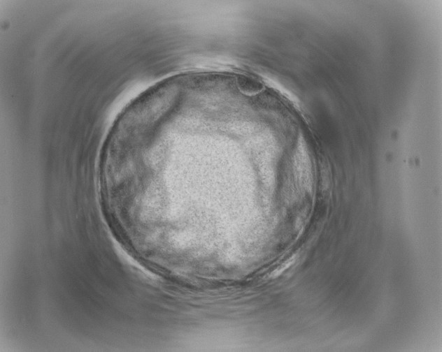 X0000075361471200609291449