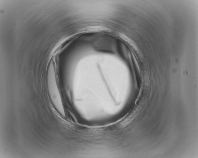 X0000075361473200609291448