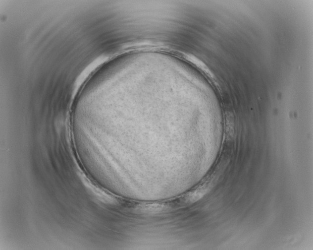 X0000075361474200609291448