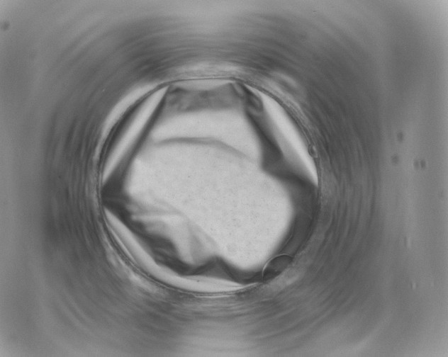 X0000075361486200609291448