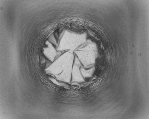 X0000075361489200609291447