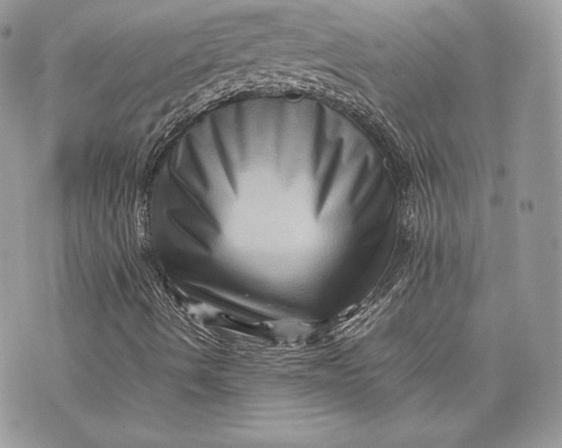 X0000075361490200609291447