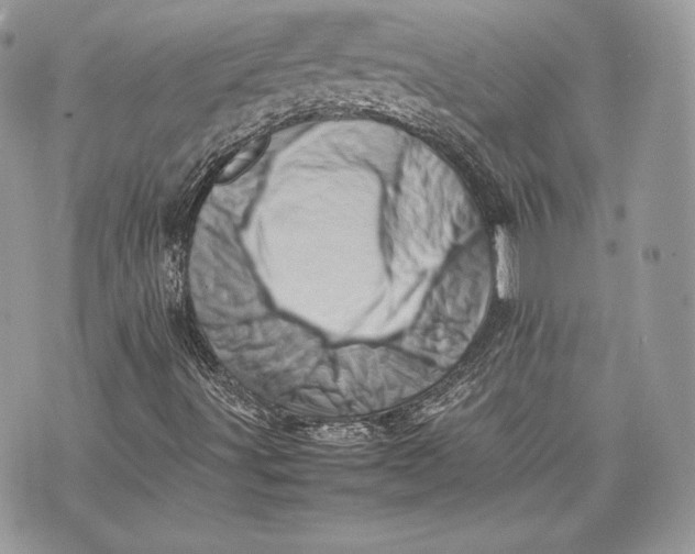 X0000075361491200609291447