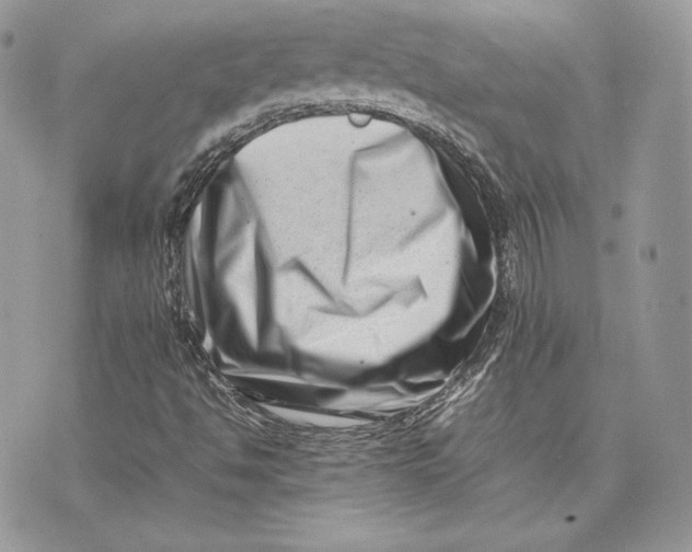 X0000075361494200609291448