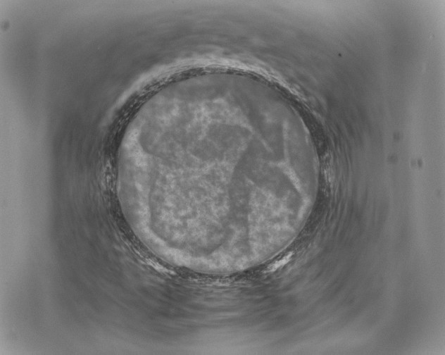 X0000075361495200609291448