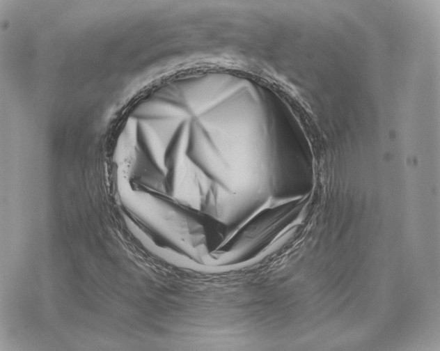 X0000075361496200609291448