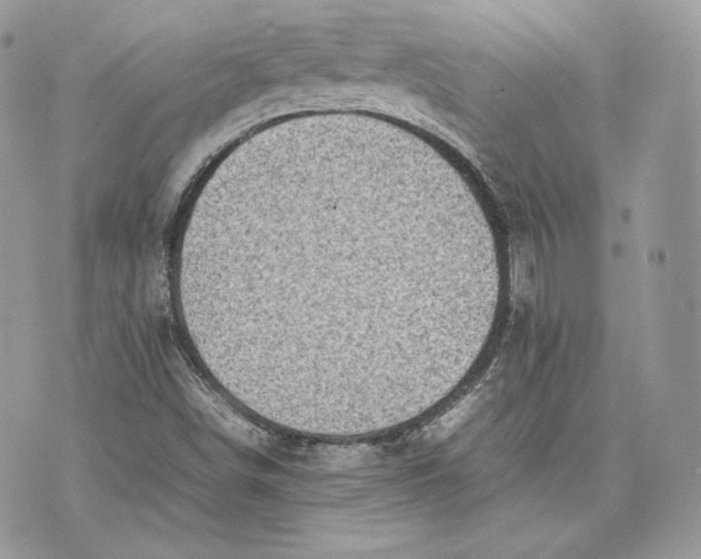 X0000075361498200609291448